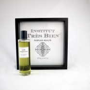 SPRAY INTERIEURCUIR SPCUIR